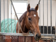 HC240925-101 - Rousham